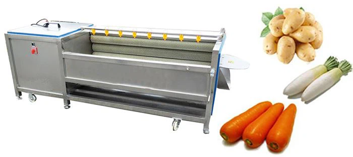 Vegetable Washing and Peeling Machine