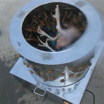 mi-02-new-design-new-model-chicken-plucker