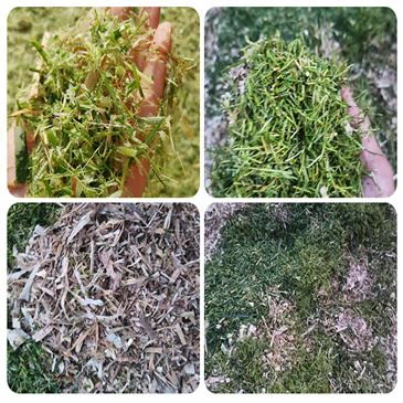 400kg-h-chaff-cutter-corn-silage-farm