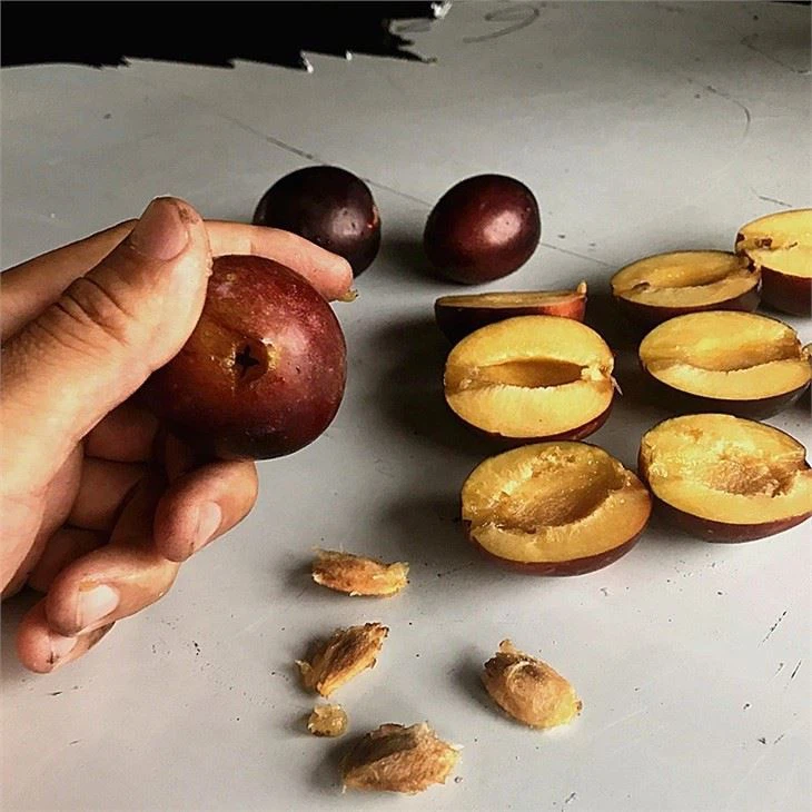 Semi Automatic Dates Pitting Machine