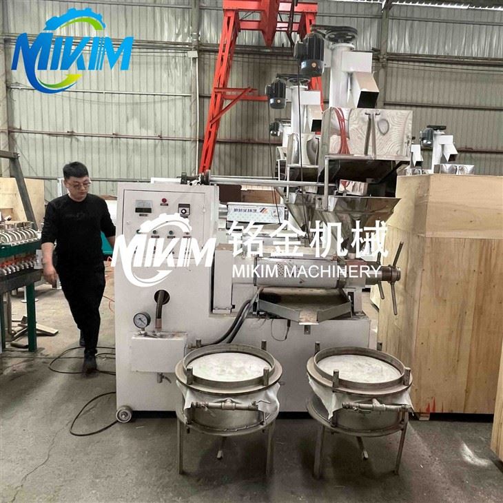 New Model Oil Press Machine