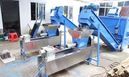Machine à ensacher les shiitakes